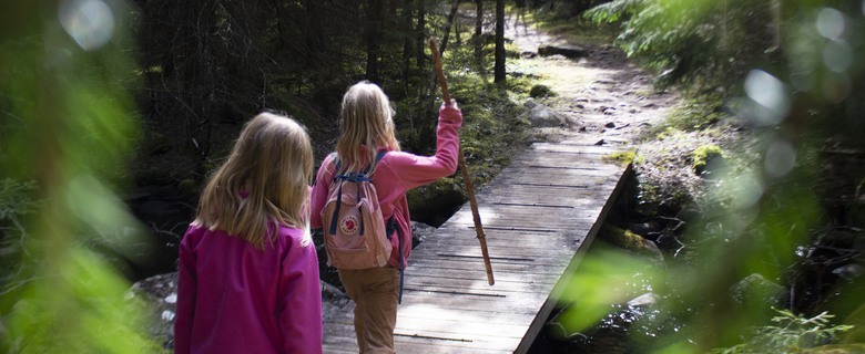 Två barn som promenerar i skogen.